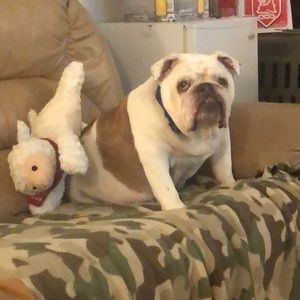 Meet your Posher, Melissa